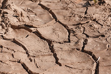 Image showing Dry soil closeup