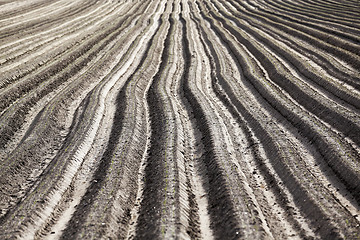 Image showing plowed field, furrows  