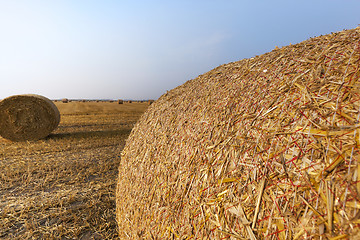 Image showing stack of straw in the field  