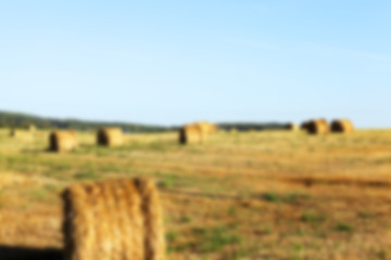 Image showing haystacks in a field of straw  