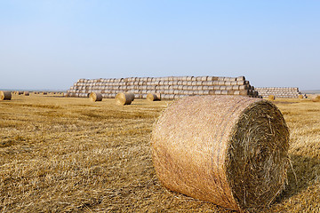 Image showing haystacks in a field of straw  