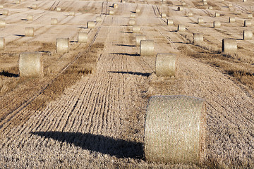 Image showing haystacks in a field of straw  