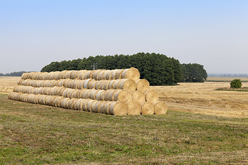 Image showing stack of wheat straw  