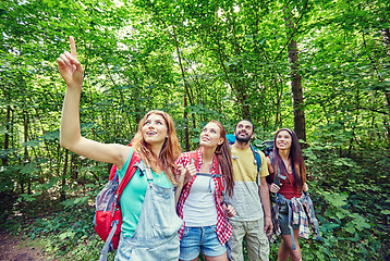 Image showing group of smiling friends with backpacks hiking