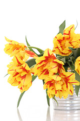 Image showing basket of tulips