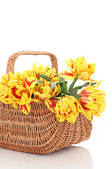 Image showing basket of tulips