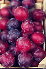 Image showing close up of satsuma plums in box at street market