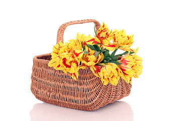 Image showing basket of tulips