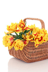 Image showing basket of tulips