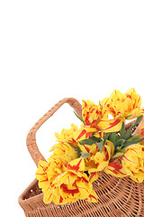 Image showing basket of tulips