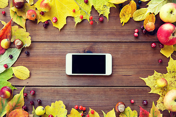 Image showing smartphone with autumn leaves, fruits and berries