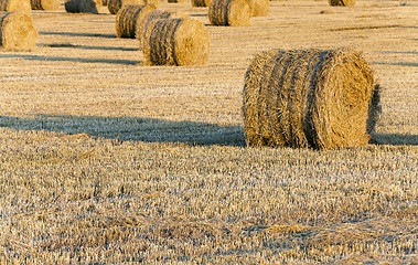 Image showing stack of straw in the field  