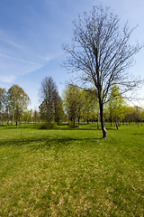 Image showing spring season Photo 