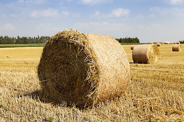 Image showing haystacks straw. field  