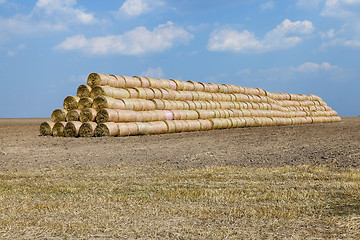 Image showing cereal harvest field 