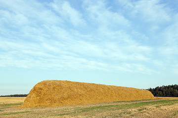 Image showing stack of straw in the field