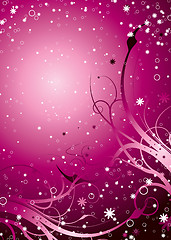 Image showing stella pink
