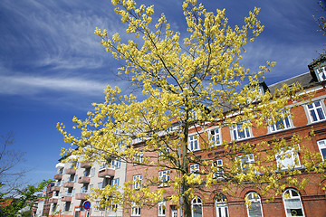 Image showing Springtime in town