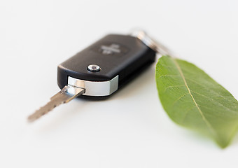 Image showing close up of car key and green leaf