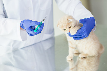 Image showing close up of vet making vaccine to kitten at clinic