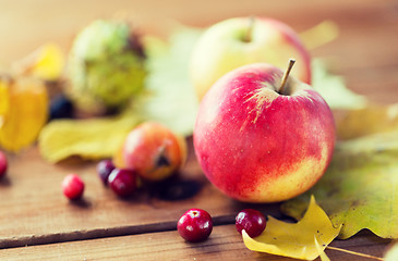 Image showing close up of autumn leaves, fruits and berries