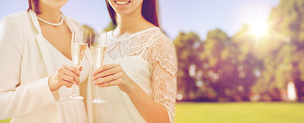 Image showing close up of lesbian couple with champagne glasses