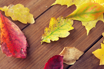 Image showing close up of many different fallen autumn leaves