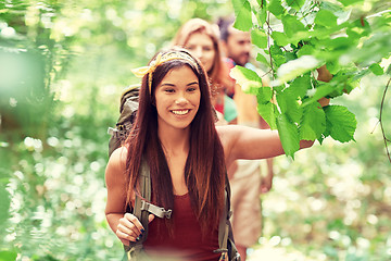 Image showing group of smiling friends with backpacks hiking