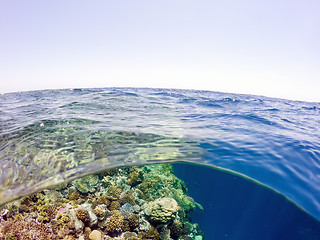 Image showing Underwater and surface split view in the tropics sea