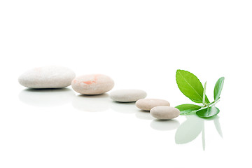 Image showing zen stones and green leaf