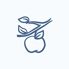 Image showing Apple harvest sketch icon.