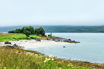 Image showing small beach, lot of mist