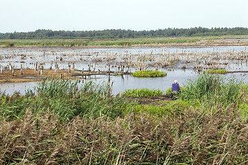 Image showing moorland, summer time