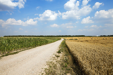 Image showing road in a field