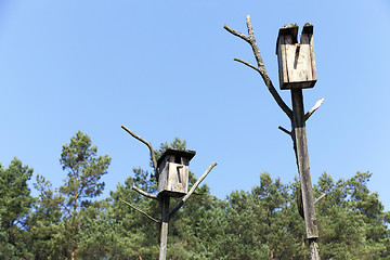 Image showing birdhouse from a tree