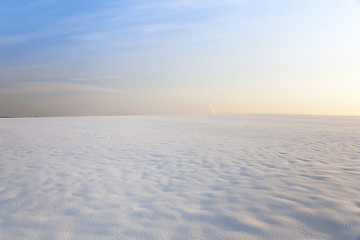 Image showing snow covered field