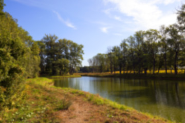 Image showing green swamp, close-up