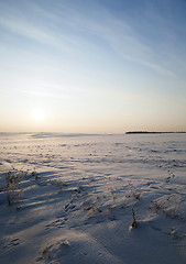 Image showing snow covered field