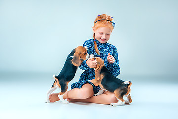 Image showing The happy girl and two beagle puppie on gray background