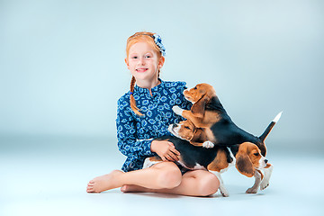 Image showing The happy girl and two beagle puppie on gray background