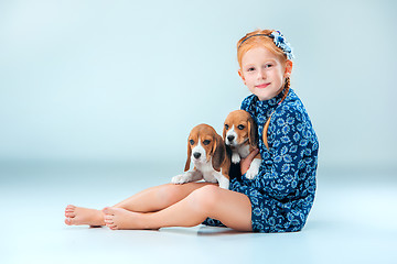 Image showing The happy girl and two beagle puppie on gray background