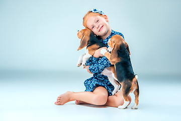 Image showing The happy girl and two beagle puppie on gray background