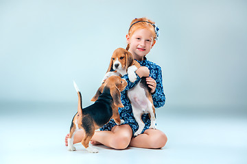 Image showing The happy girl and two beagle puppie on gray background