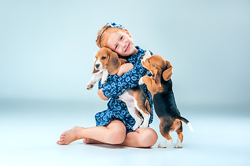 Image showing The happy girl and two beagle puppie on gray background