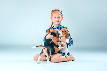 Image showing The happy girl and two beagle puppie on gray background