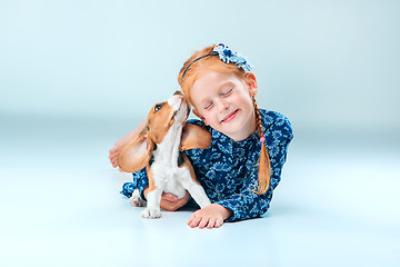 Image showing The happy girl and a beagle puppie on gray background