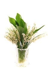 Image showing lily of valley