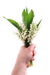 Image showing lily of valley