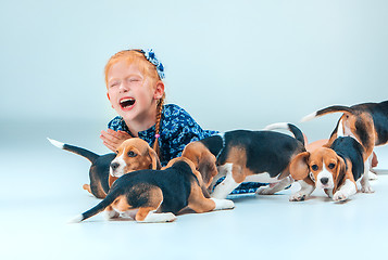 Image showing The happy girl and beagle puppies on gray background