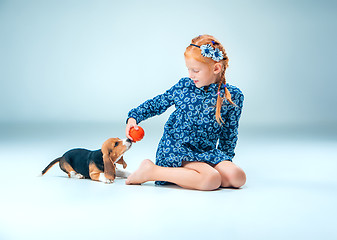 Image showing The happy girl and a beagle puppie on gray background